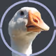 Dude-goose