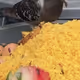 dumpster pigeon collection