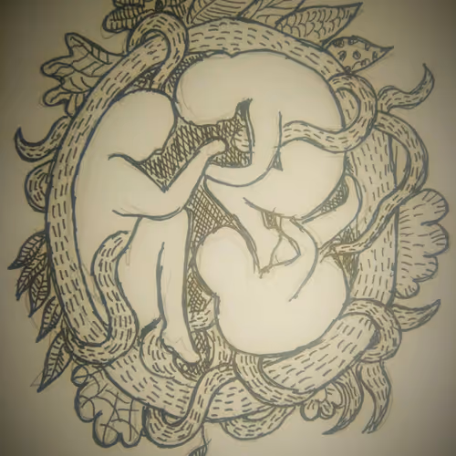 Duotone  Art
