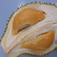durian is my favorite fruit