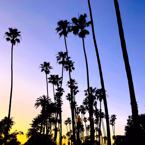 Dustin Gaston Photography - "Fleeting Moments"