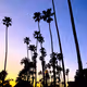 Dustin Gaston Photography - "Fleeting Moments"