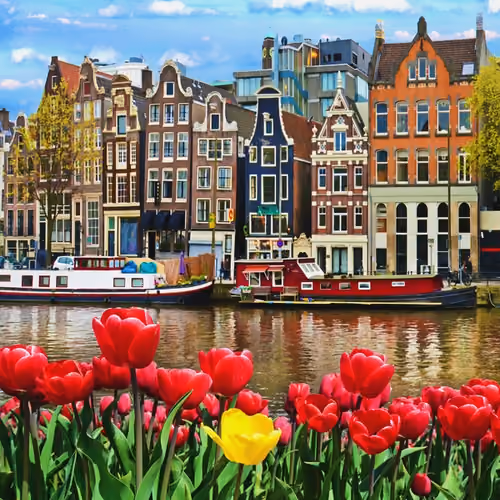 Dutch Photographs