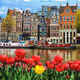 Dutch Photographs