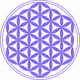 DWP Platinum Egyptian - Safety and Prosperity COLLECTION