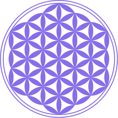 #9 Platinum Collection DWP