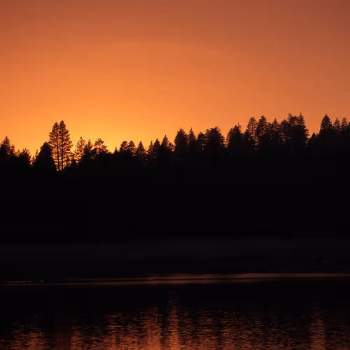 Dying Day into Night