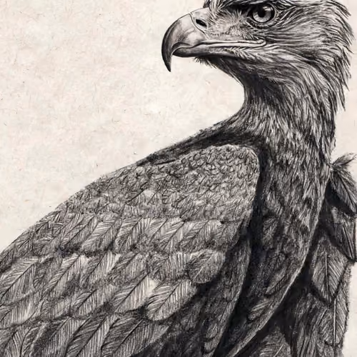 Eagle