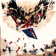 Sancar Art "Eagle Fly Free" Collection