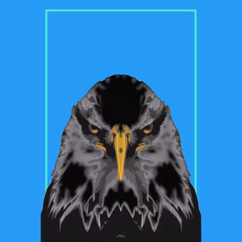 Eagle head and geometric lines