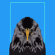 Eagle head and geometric lines