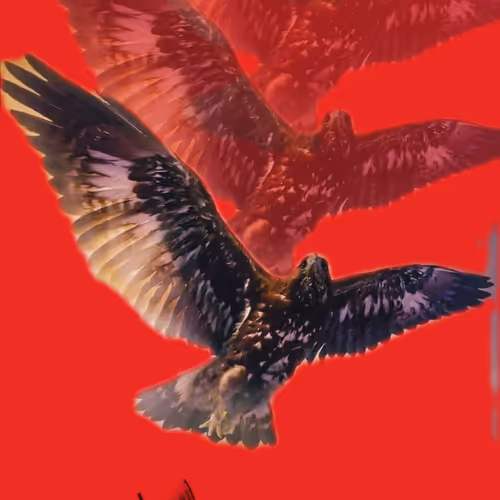EAGLE WINGS