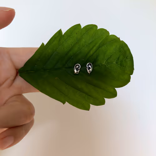 Ear Earrings