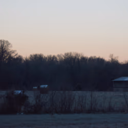 Early Morning