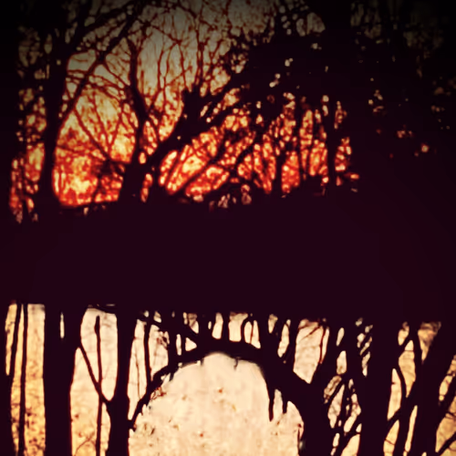 Earth's magic through the lens of a Kanardian's camera