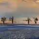 EarthDeserted