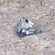 Devine Light Gemstones
