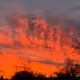 East Tennessee Nature Shots