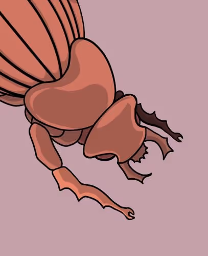 Eat Shit, Dung Beetle - old