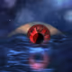 Eccentric Eyes