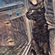 Eclectic Collection - old