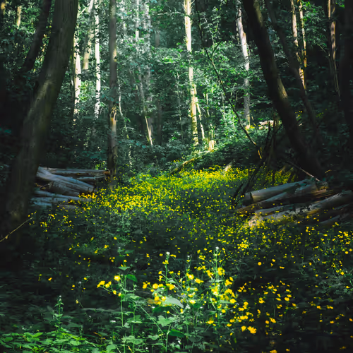 Edd's Colourful World