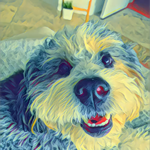 Edgar Allan the Pup Collection