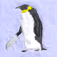 Edge Penguin Black
