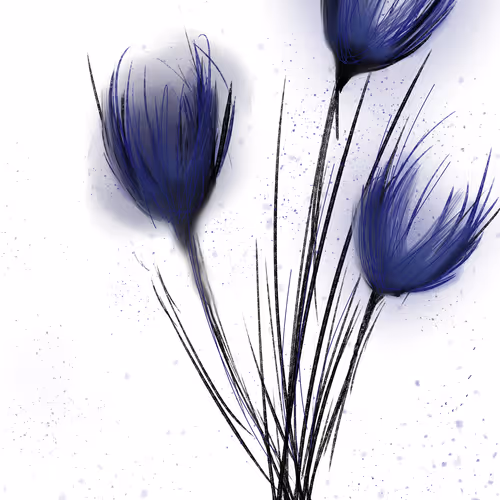 ediantonella-Flowers