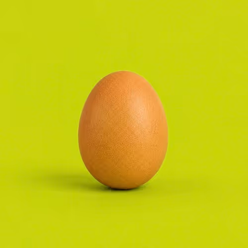 EGG RH