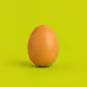 EGG RH