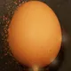 Egg Sluts