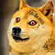 EGOD by DOGECORE - old