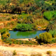 Egyptian Oasis Landscape