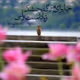 EhsanParvin