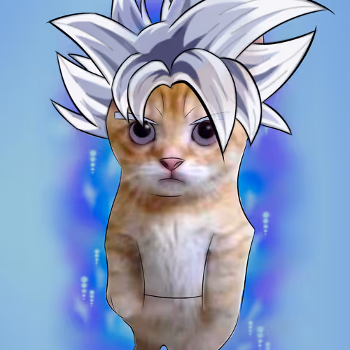 El Gato Cat - old