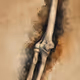 elbow joint
