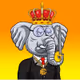 Elderly Elephants!