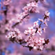 Seasons Photos