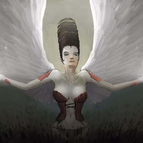 Electric Guitar Collection - old