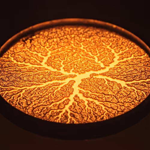 Electrum: The Conductors of Thought