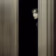 Elektric nightmares