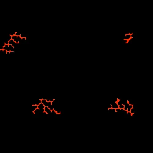 Elektrik Nights - old
