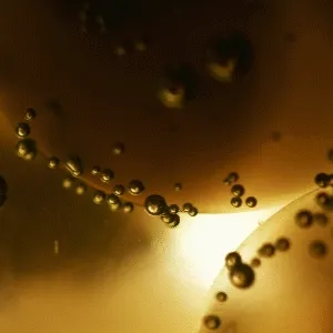 Elemental-Labs "Source" Genesis Collection