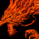Elements of dragon