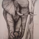 Elephant Series UNIQUE NFT by FkHEAD
