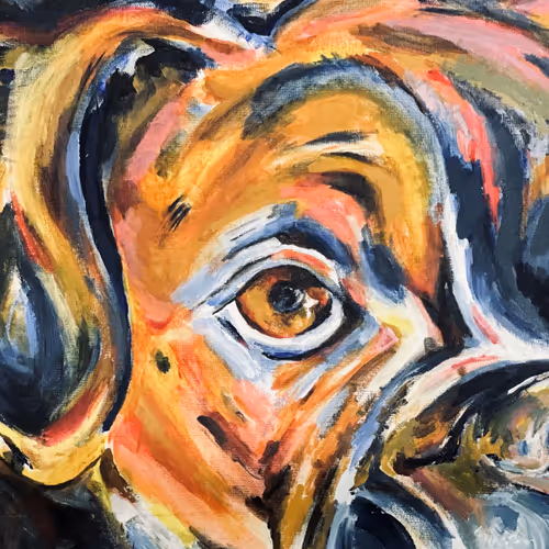 elevated expressions