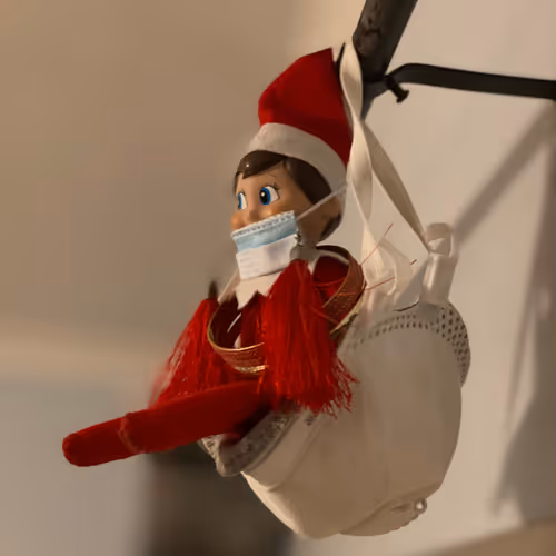 Elf from the MetaVerse