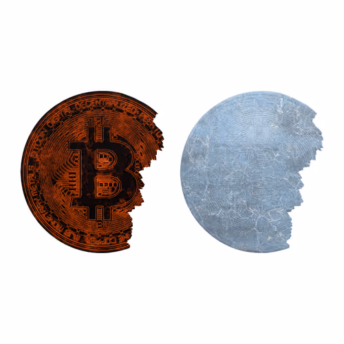 ElmonX x Schoony Bitcoin Shield