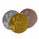 Elon Musk DOGECOIN (twitter) ( GOLD,WHITE GOLD, ROSE GOLD COINS COLLECTION)
